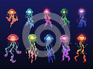 Glowing jellyfishes. Exotic sea creatures, deep water ocean animals, transparent luminous objects, beautiful color meduses,