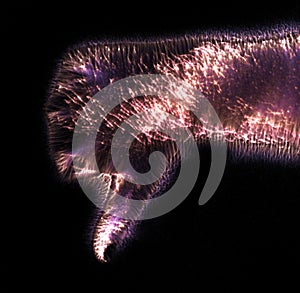 Glowing kirlian coronal aura photography with blue and purple colors of a male human hand