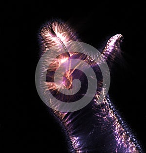 Glowing kirlian coronal aura photography with blue and purple colors of a male human hand