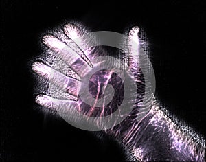 Glowing kirlian coronal aura photography with blue and purple colors of a male human hand