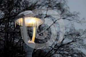 Glowing led lamp covered in icicles on winter trees background