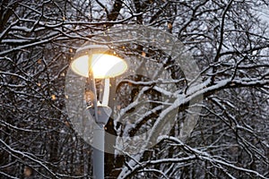 Glowing led lamp during snow on winter trees background