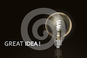 Glowing light bulb on dark background with text. Concept of creativity, idea.