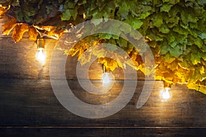 Glowing light bulbs on autumn wooden background.