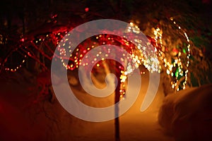 Glowing lights in winter forest