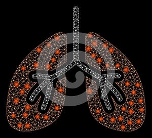 Flare Mesh 2D Lungs with Flare Spots