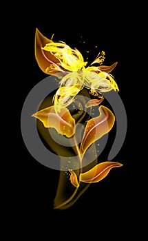 Glowing modern amber, yellow flower vector pattern. Colorful ornamental element floral in black background. Beautiful trendy