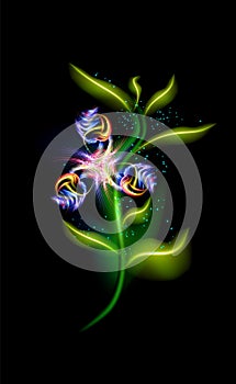 Glowing modern flower blue. Colorful ornamental floral element in black background. Beautiful trendy illuminated ornaments with