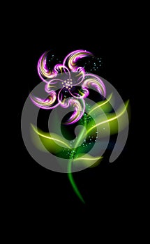 Glowing modern purple flower. Colorful ornamental floral violet element in black background. Beautiful purplish illuminated