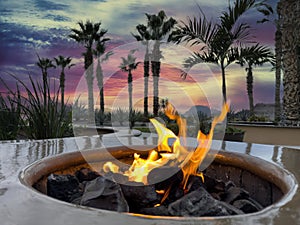 Glowing natural gas fire pit plus ceramic rocks with palm trees with sunset