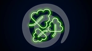 Glowing neon line Oak leaf icon isolated on black background. 4K Video motion graphic animation