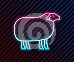 Glowing neon line Sheep icon isolated on black background. Animal symbol. Vector