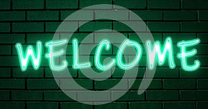 Glowing neon multicolor sign Welcome on a brick wall background