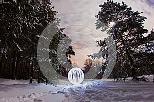 Glowing orb in the winter pine forest