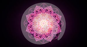 Glowing Pink Mandala Pattern on Dark Background