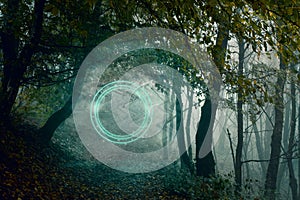 A glowing, portal, gateway on a forest path. On an foggy autumn day