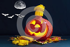 Glowing pumpkin in a hat with autumn leaves on a dark background. Jack`s Lantern. Halloween Decorations