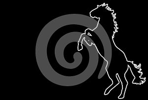 Glowing Rampant Horse