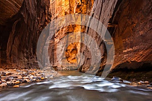 Glowing Sandstone wall, The Narrows, Zion national park, Utah