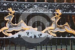 Glowing silhouettes of Christmas deer on the fence. Outdoor festive Christmas decoration, beautiful entrance decoration