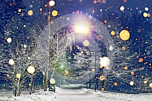 Glowing snowflakes fall in winter night park. Theme of Christmas and New Year. Winter scene of night park in snow