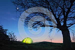 Glowing Tent Under Bare Tree, Sicily photo