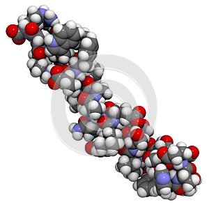 Glucagon-like peptide 1 (GLP1, 7-36) molecule, 3D rendering. Atoms are represented as spheres with conventional color coding: