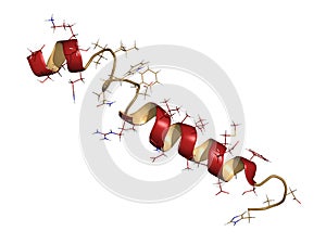 Glucagon-like peptide 2 (GLP-2) peptide molecule. Its recombinant analog teduglutide is used to treat Short-Bowel Syndrome, an