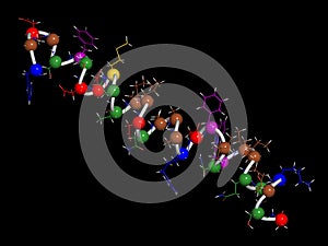 Glucagon-like peptide 2 (GLP-2) peptide molecule. Its recombinant analog teduglutide is used to treat Short-Bowel Syndrome, an photo