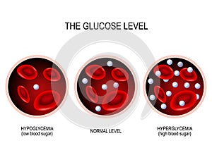 Glucose in the blood vessel.