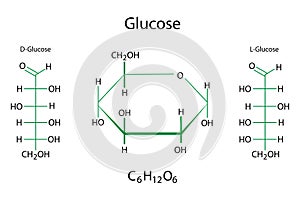 Glucose chemical formulas. Molecular structure. Science element. Organic compound. Vector illustration. Stock image.