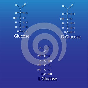 glucose linear Structures