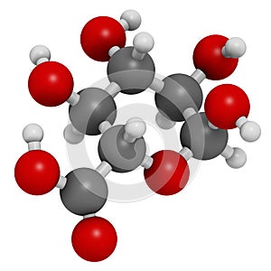 Glucuronic acid molecule. Glucuronidation of xenobiotics plays role in drug metabolism, giving glucuronides