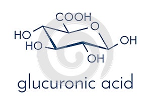 Glucuronic acid molecule. Glucuronidation of xenobiotics plays role in drug metabolism, giving glucuronides. Skeletal formula.