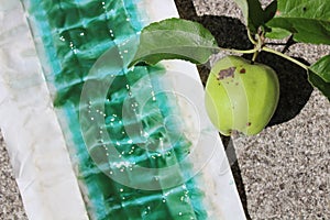 Glue band and a damaged apple