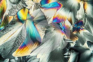 Glutamate crystals in polarized light