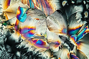 glutamate crystals in polarized light