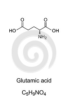 Glutamic acid molecule, skeletal formula