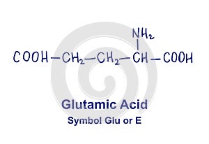 Glutamin asid chemical structure. Vector illustration Hand drawn