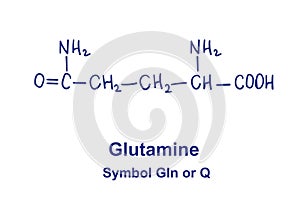 Glutamine chemical structure. Vector illustration Hand drawn