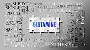 Glutamine - a complex subject, related to many concepts. Pictured as a puzzle and a word cloud made of most important ideas and photo