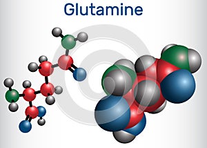 Glutamine Gln , Q amino acid molecule. Structural chemical formula and molecule model photo