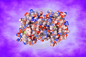 Glutaredoxin domain of human thioredoxin reductase 3. Space-filling molecular model. 3d illustration