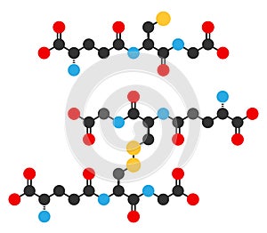 Glutathione antioxidant peptide, skeletal formula. Shown in the reduced (upper) and oxidized form (lower). Skeletal formula, atoms