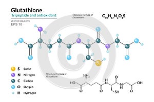 Glutathione. C10H17N3O6S. Tripeptide and Antioxidant. Structural Chemical Formula and Molecule 3d Model. Atoms with Color Coding. photo