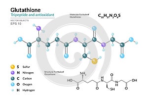 Glutathione. C10H17N3O6S. Tripeptide and Antioxidant. Structural Chemical Formula and Molecule 3d Model. Atoms with Color Coding.