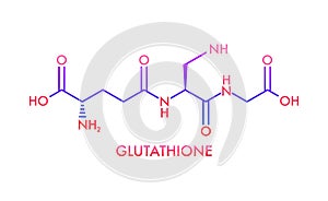 Glutathione chemical formula. Reduced glutathione, GSH. Vitamin solution complex. Vector stock illustration.