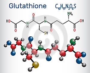 Glutathione GSH molecule, is an important antioxidant in plant photo