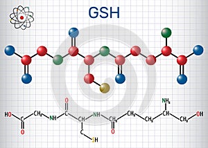 Glutathione GSH molecule, is an important antioxidant in plant photo