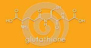 Glutathione reduced glutathione, GSH endogenous antioxidant molecule. Skeletal formula.